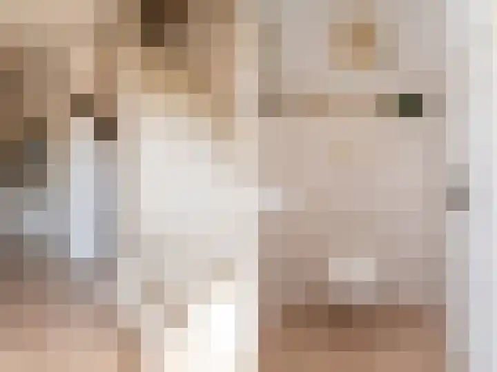 Jacob Catsstraat 24 Kesteren thumbnail 39