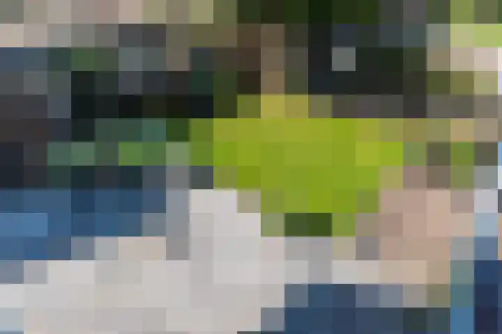 Jacob Catsstraat 24 Kesteren thumbnail 41