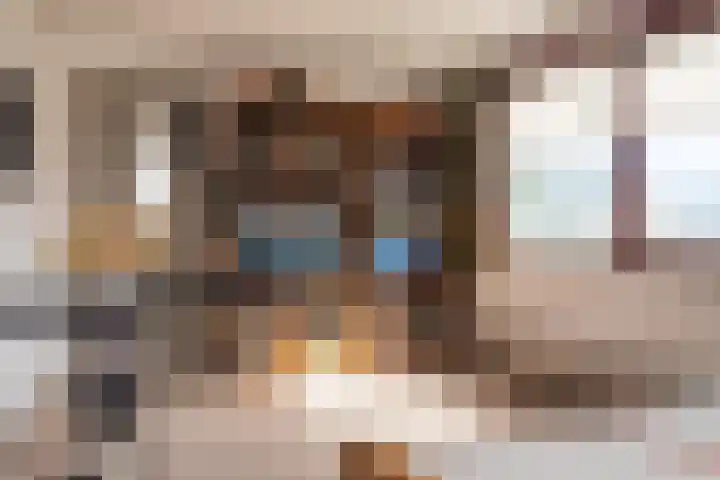 Jacob Catsstraat 24 Kesteren thumbnail 42