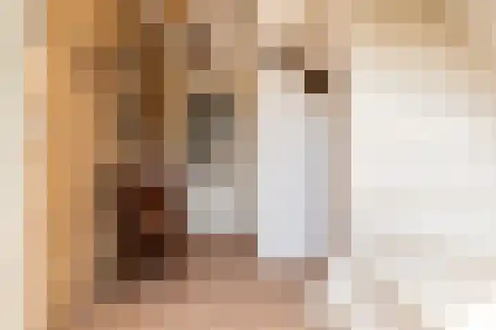 Jacob Catsstraat 24 Kesteren thumbnail 8