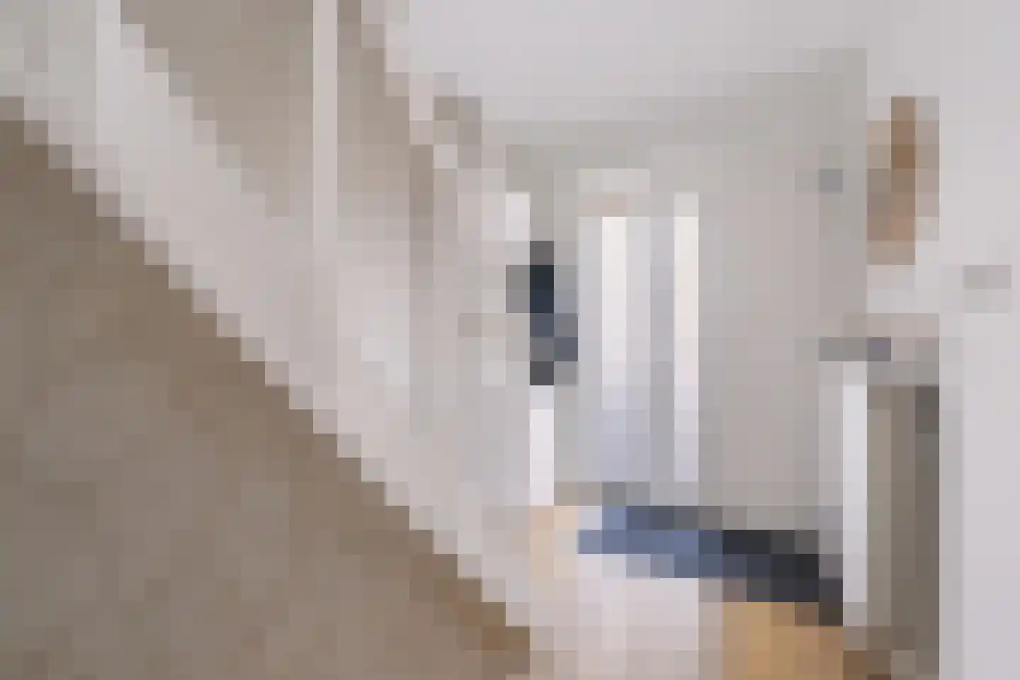 Jacob Catsstraat 24 Nijverdal thumbnail 19