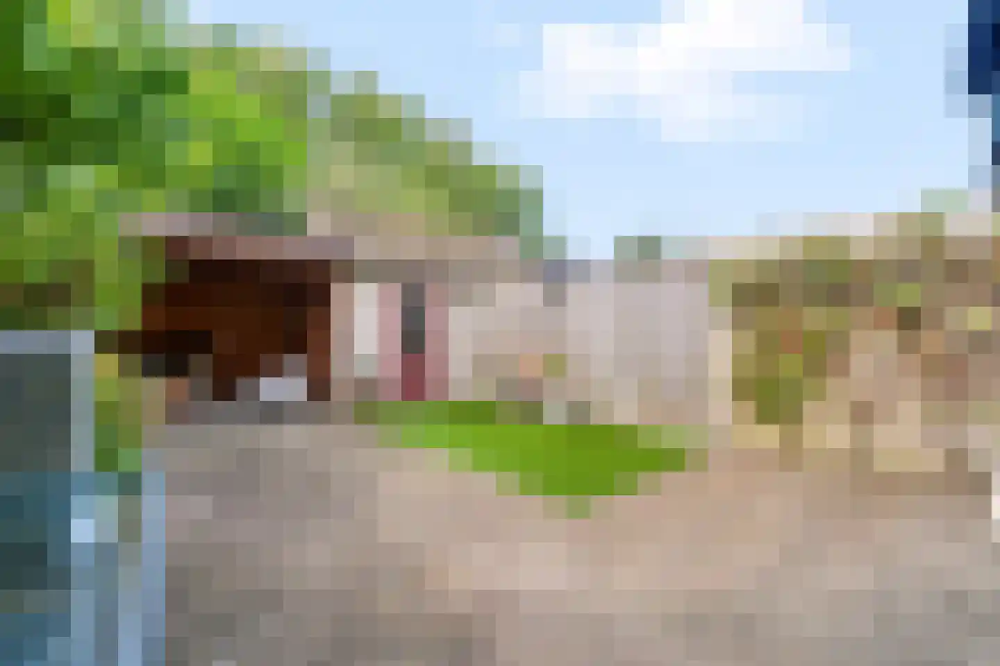 Jacob Catsstraat 24 Nijverdal thumbnail 25