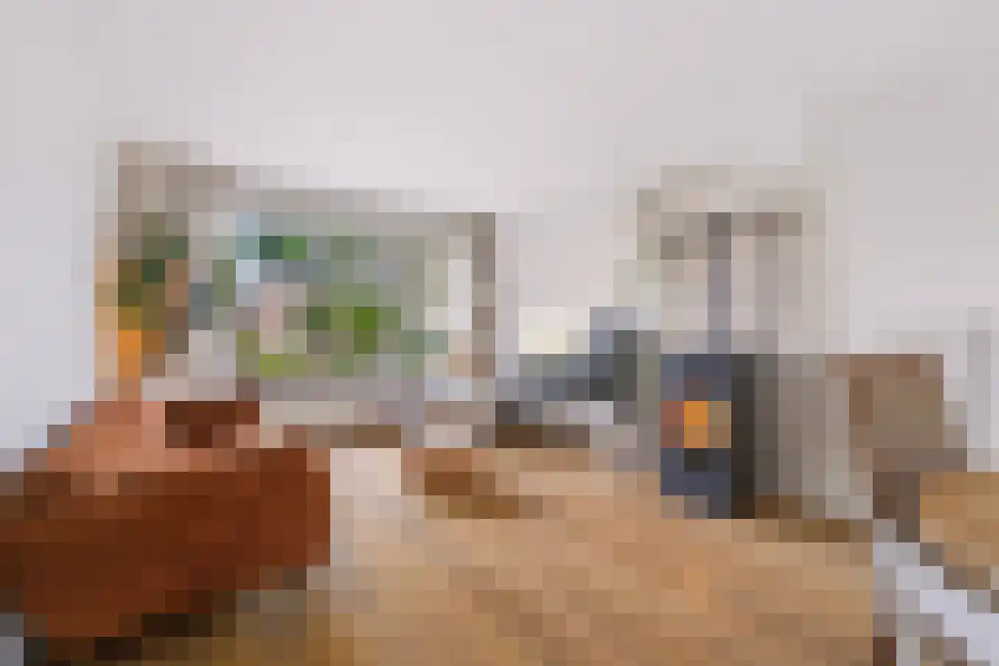 Jacob Catsstraat 24 Nijverdal thumbnail 4