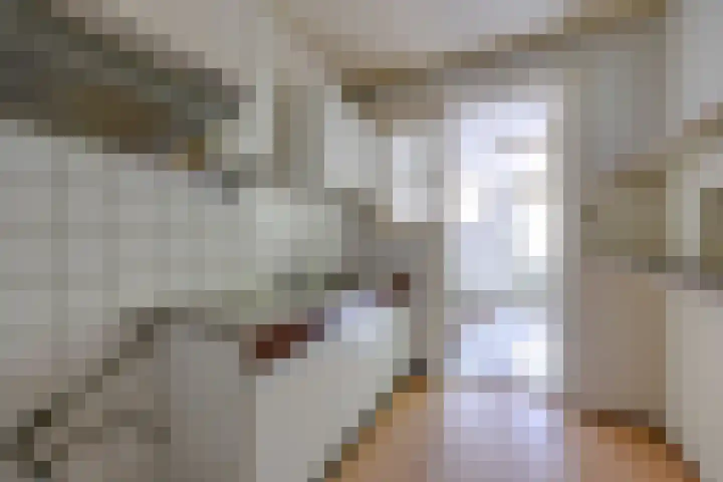 Jacob Catsstraat 25 Hilversum thumbnail 14