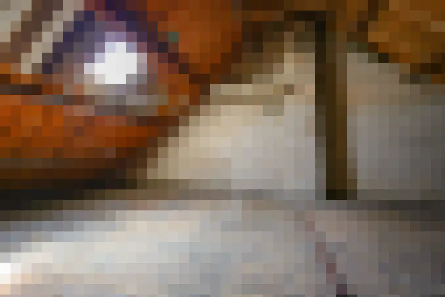 Jacob Catsstraat 25 Hilversum thumbnail 29