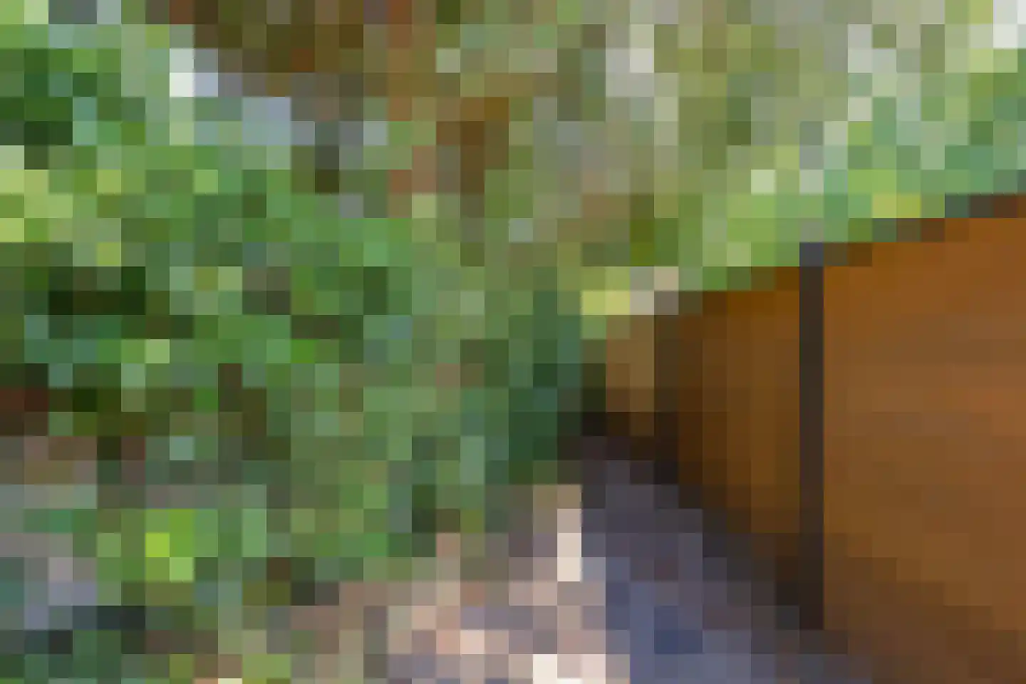 Jacob Catsstraat 25 Hilversum thumbnail 39