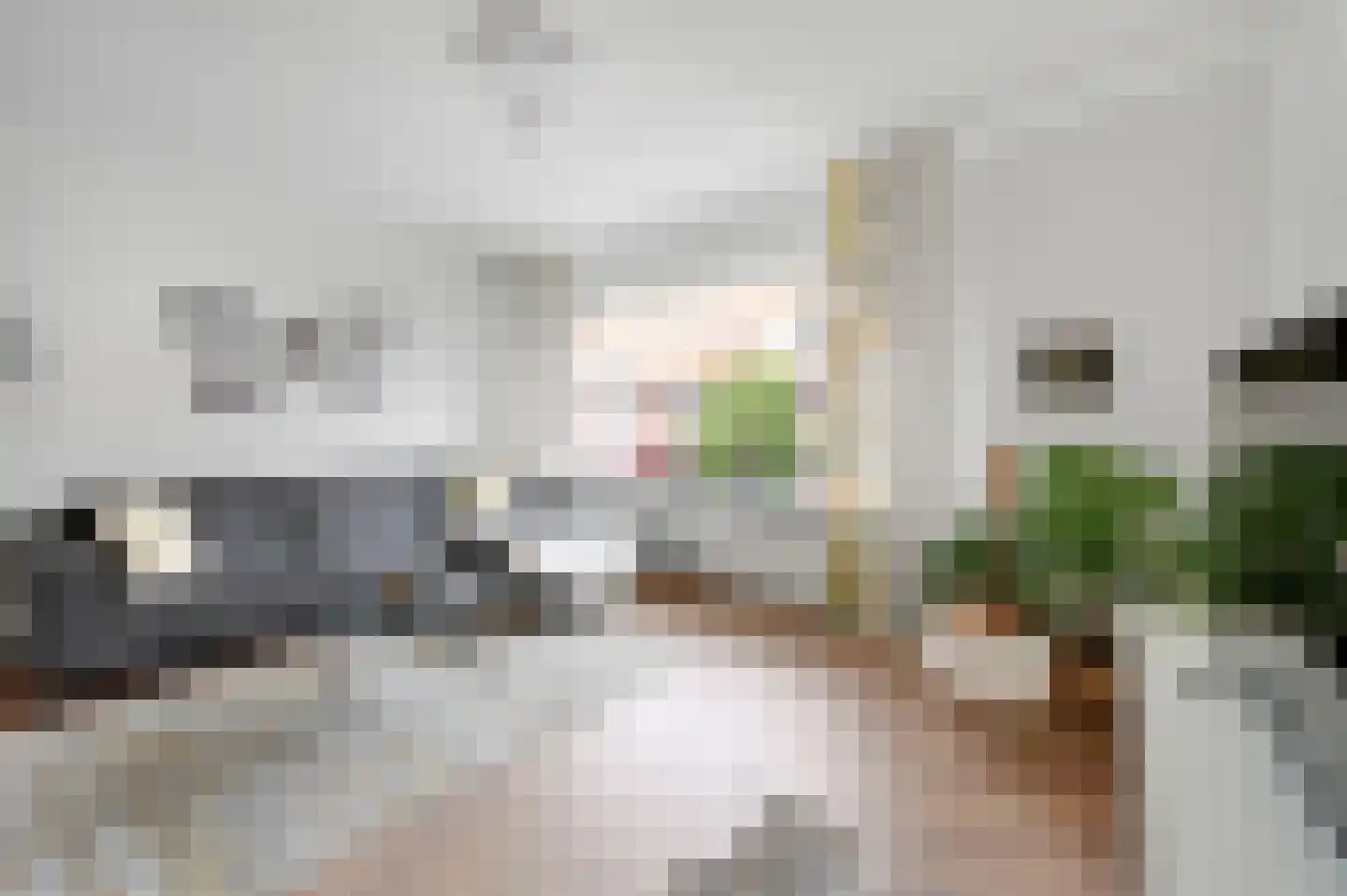 Jacob Catsstraat 25 Voorburg thumbnail 10