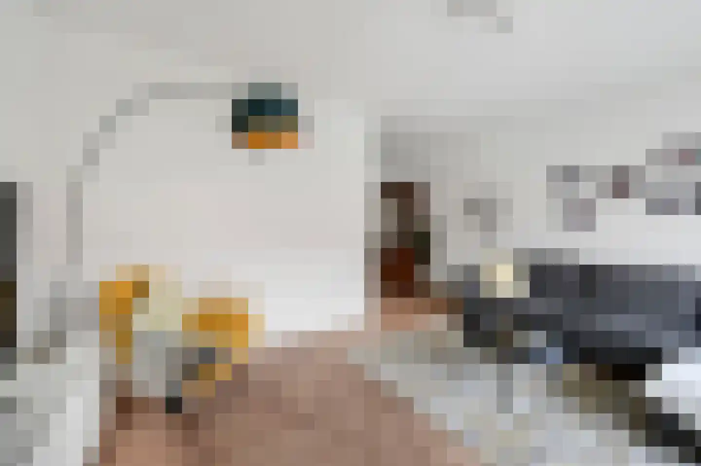 Jacob Catsstraat 25 Voorburg thumbnail 11