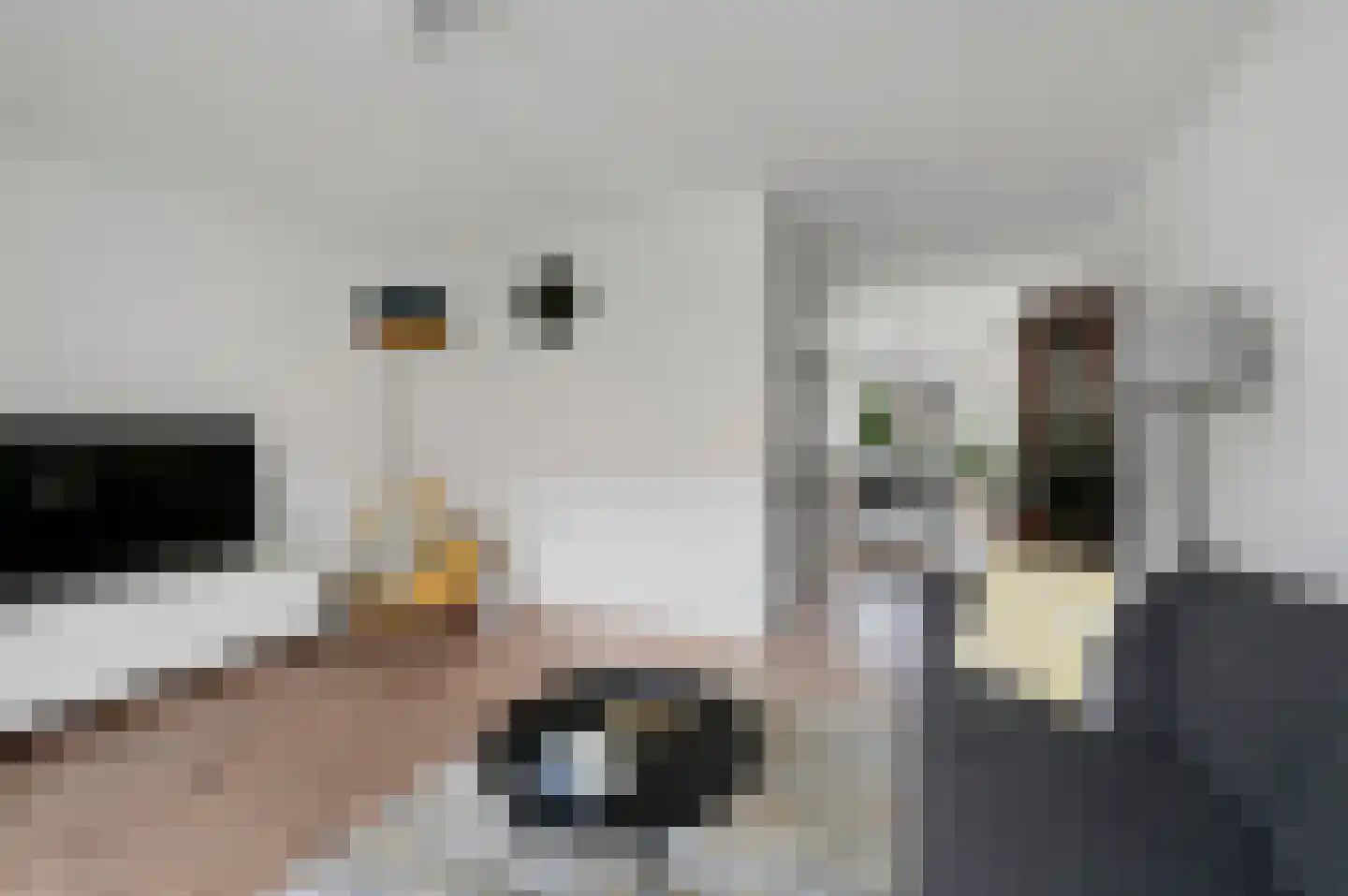Jacob Catsstraat 25 Voorburg thumbnail 12