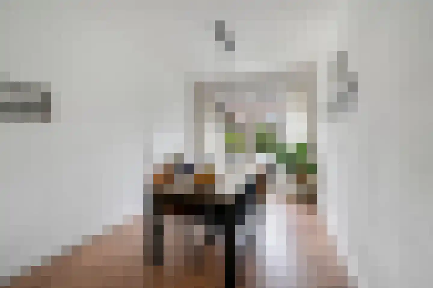 Jacob Catsstraat 25 Voorburg thumbnail 14