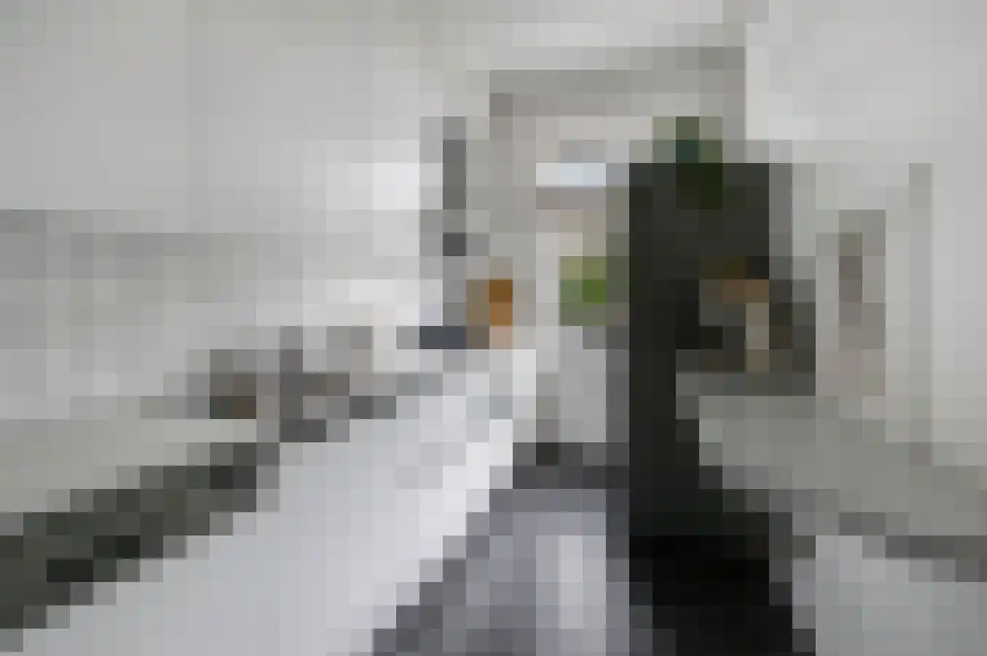 Jacob Catsstraat 25 Voorburg thumbnail 18