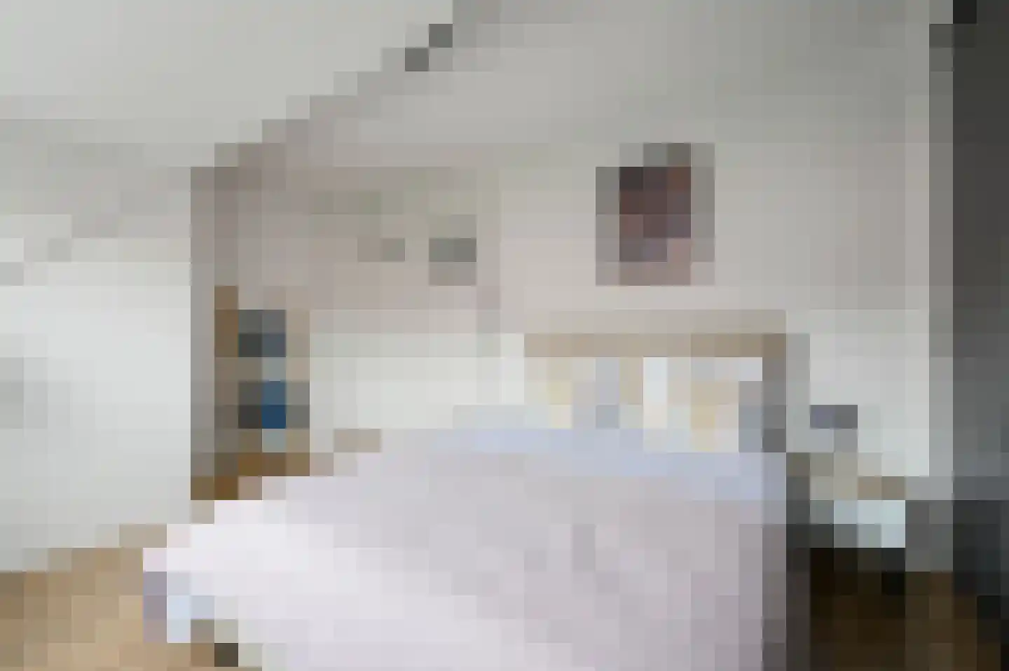 Jacob Catsstraat 25 Voorburg thumbnail 24