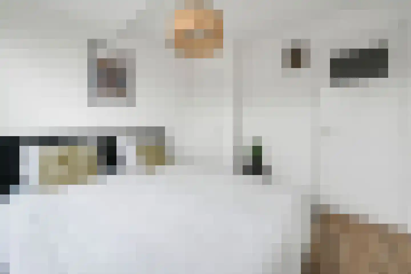 Jacob Catsstraat 25 Voorburg thumbnail 28