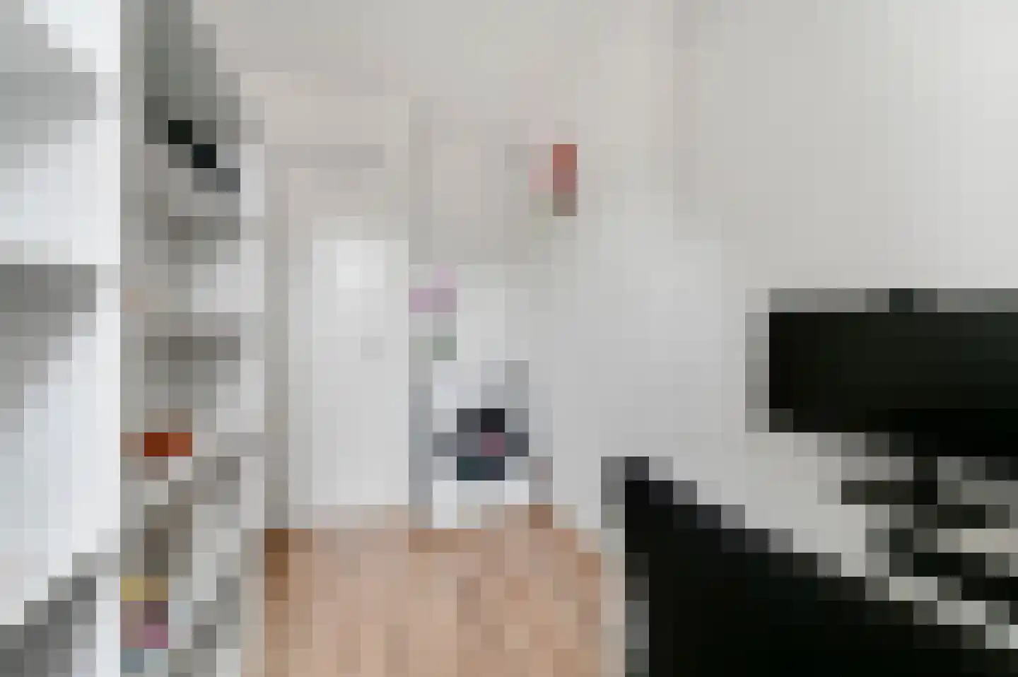 Jacob Catsstraat 25 Voorburg thumbnail 30
