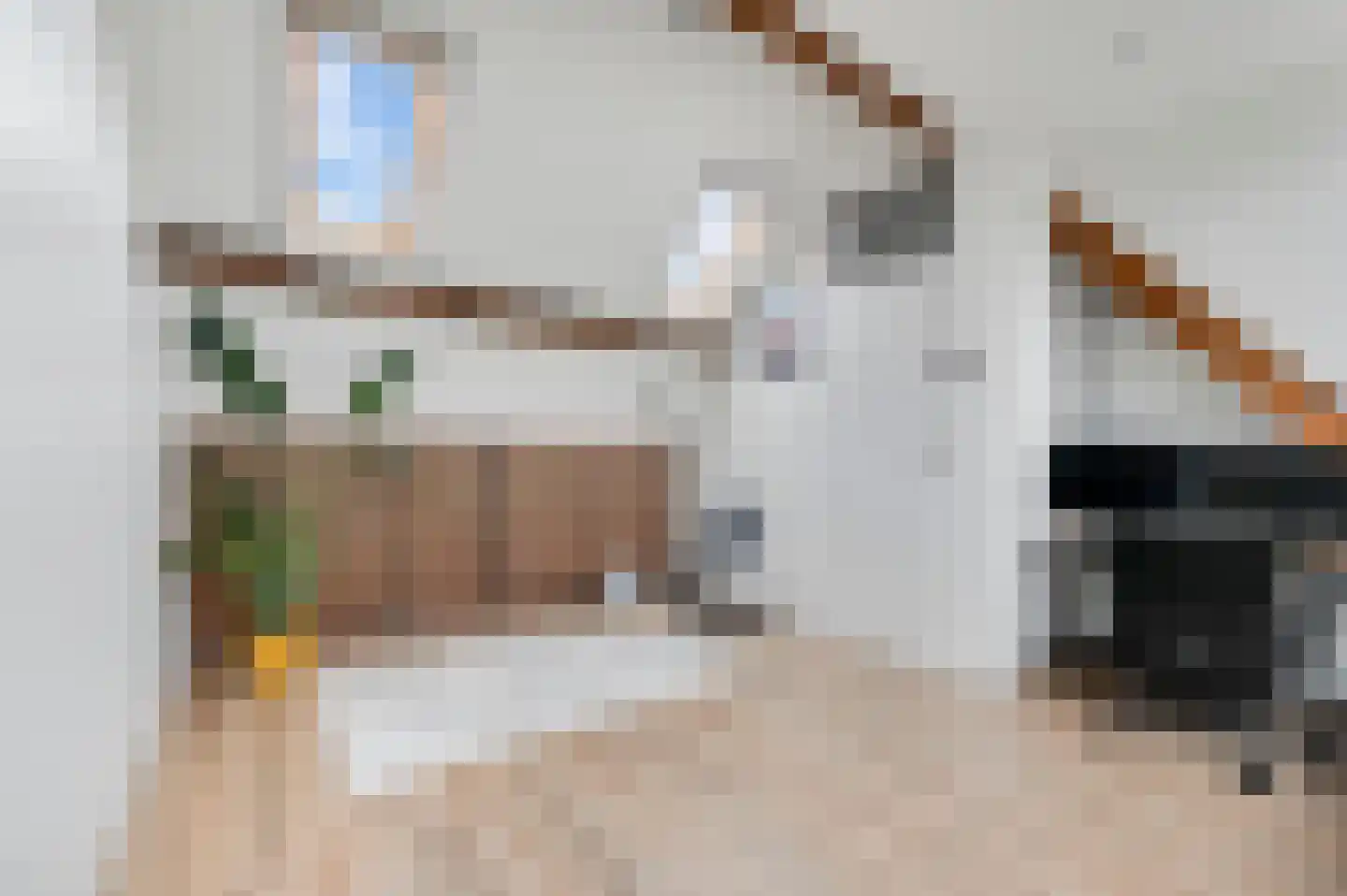 Jacob Catsstraat 25 Voorburg thumbnail 32