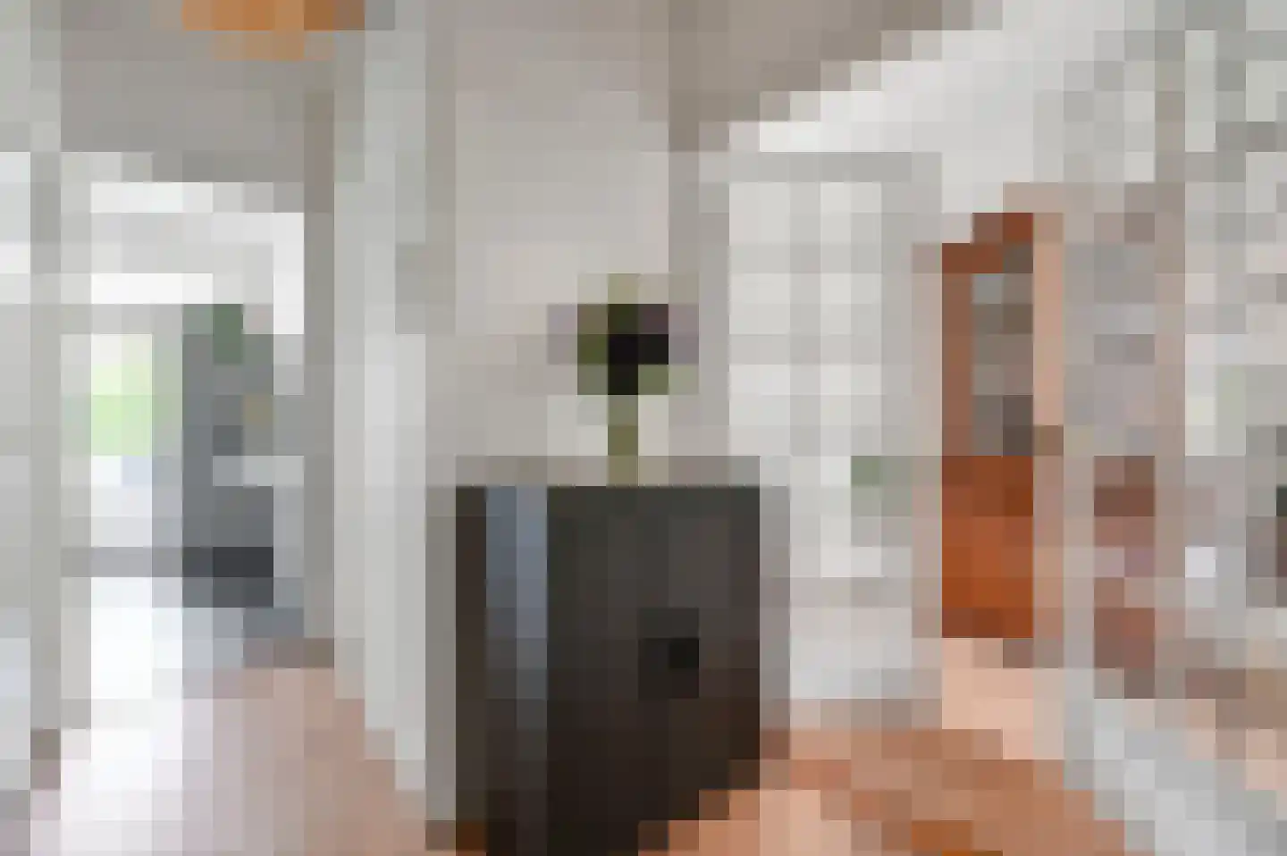 Jacob Catsstraat 25 Voorburg thumbnail 8