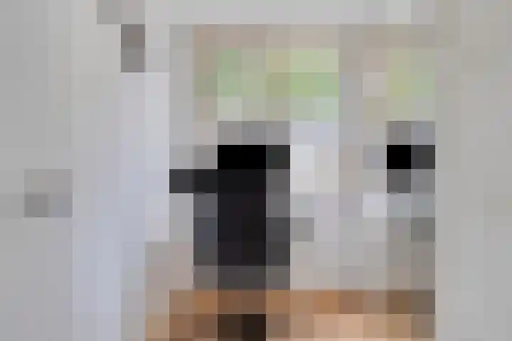 Jacob Catsstraat 26 Nijverdal thumbnail 12