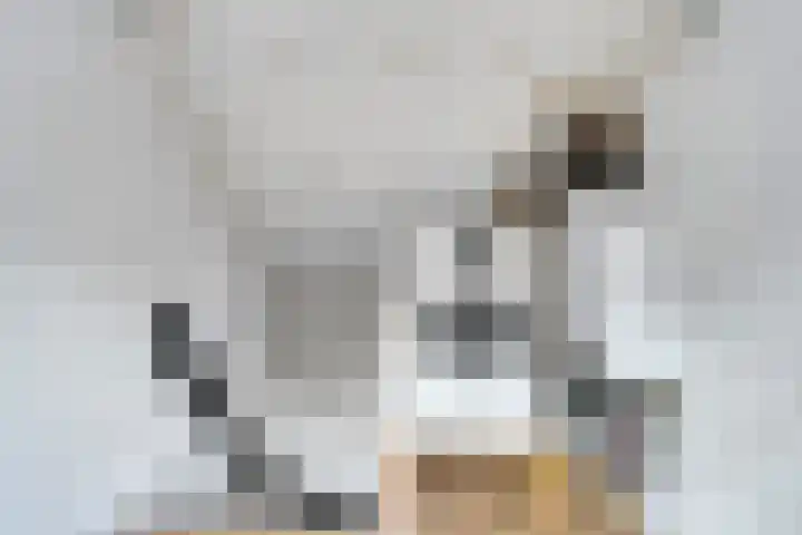 Jacob Catsstraat 26 Nijverdal thumbnail 16