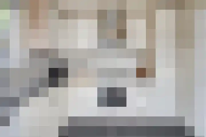 Jacob Catsstraat 26 Nijverdal thumbnail 7
