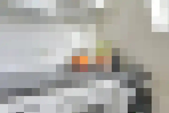 Jacob Catsstraat 27 B Utrecht thumbnail 19