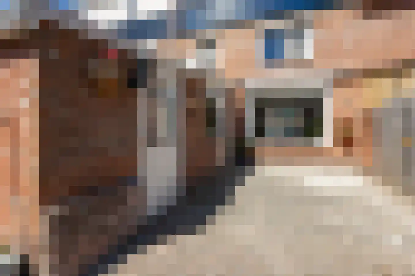 Jacob Catsstraat 27 Sliedrecht thumbnail 23