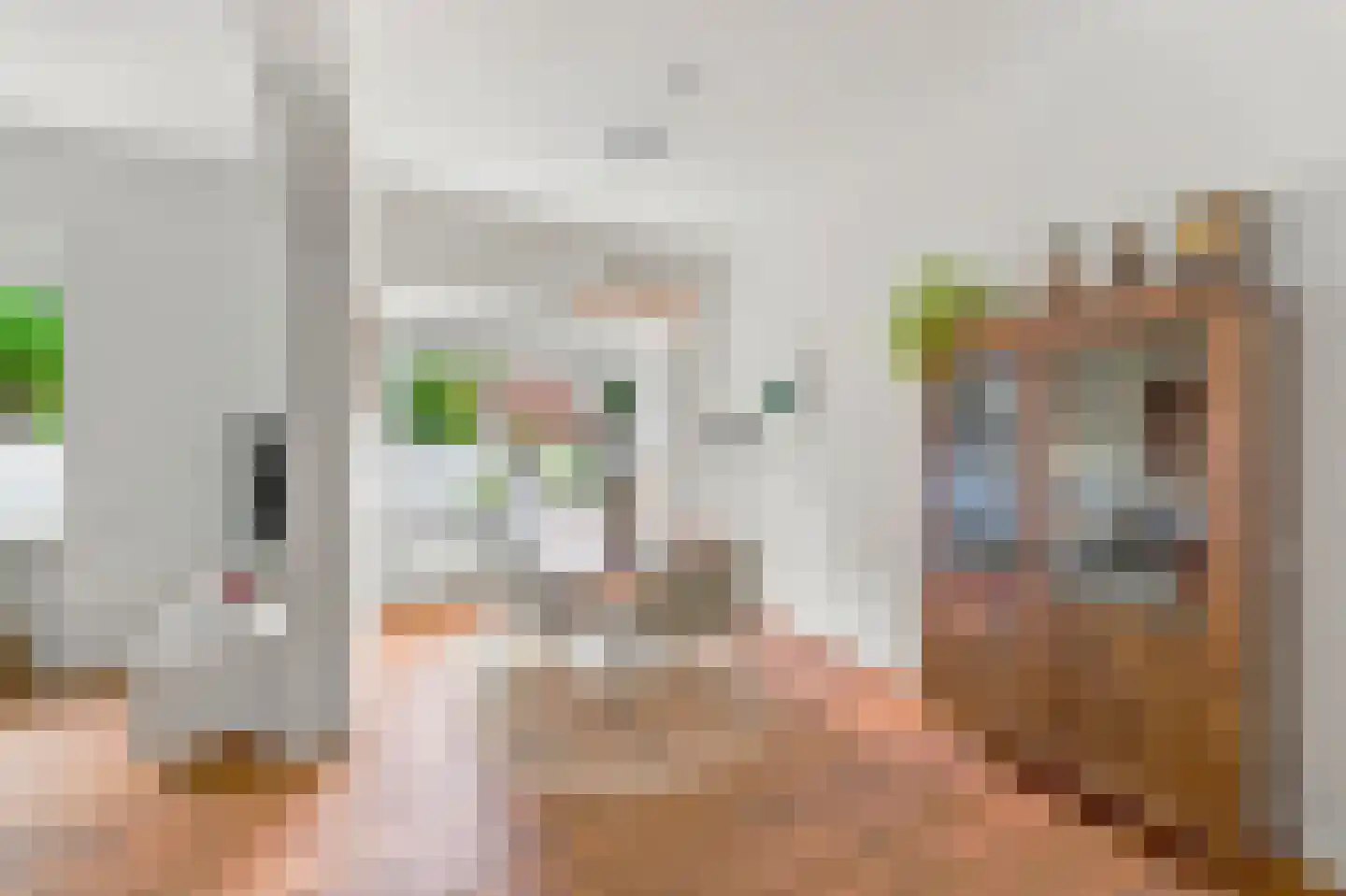 Jacob Catsstraat 28 Voorburg thumbnail 16