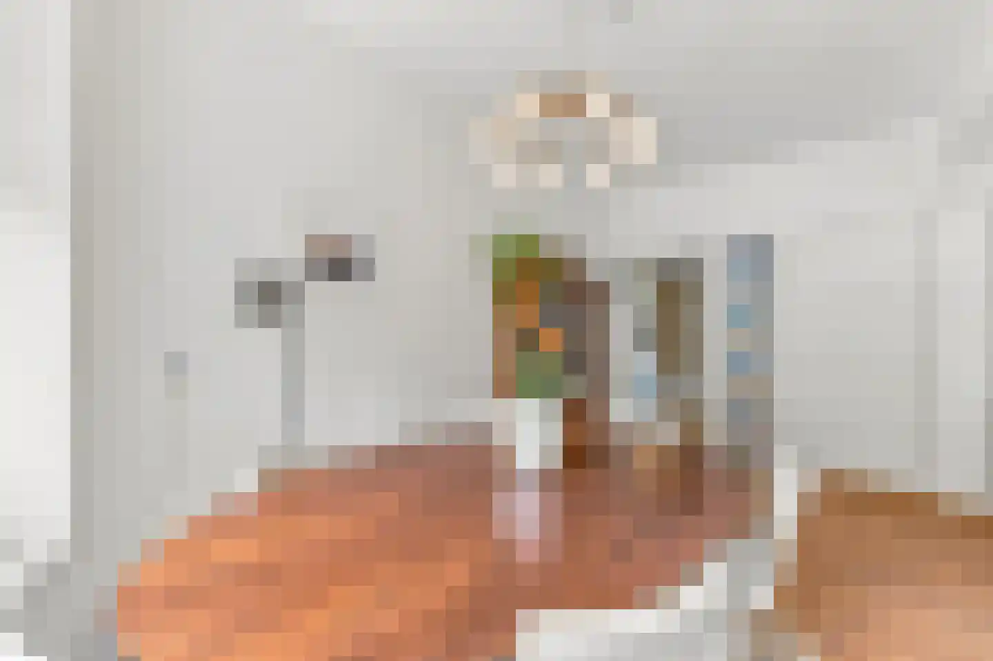Jacob Catsstraat 28 Voorburg thumbnail 17