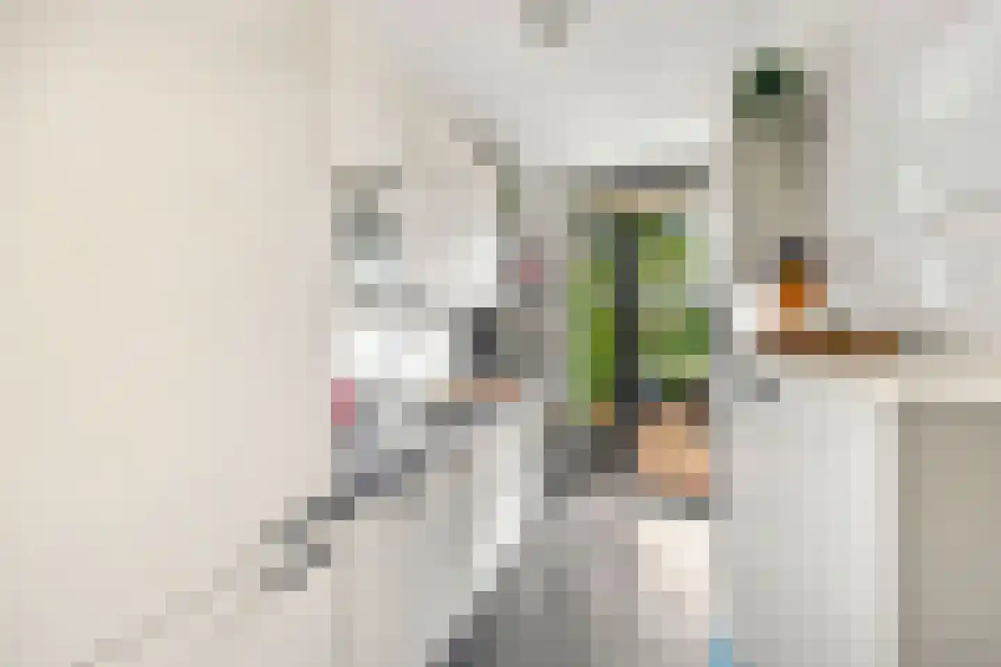 Jacob Catsstraat 28 Voorburg thumbnail 19