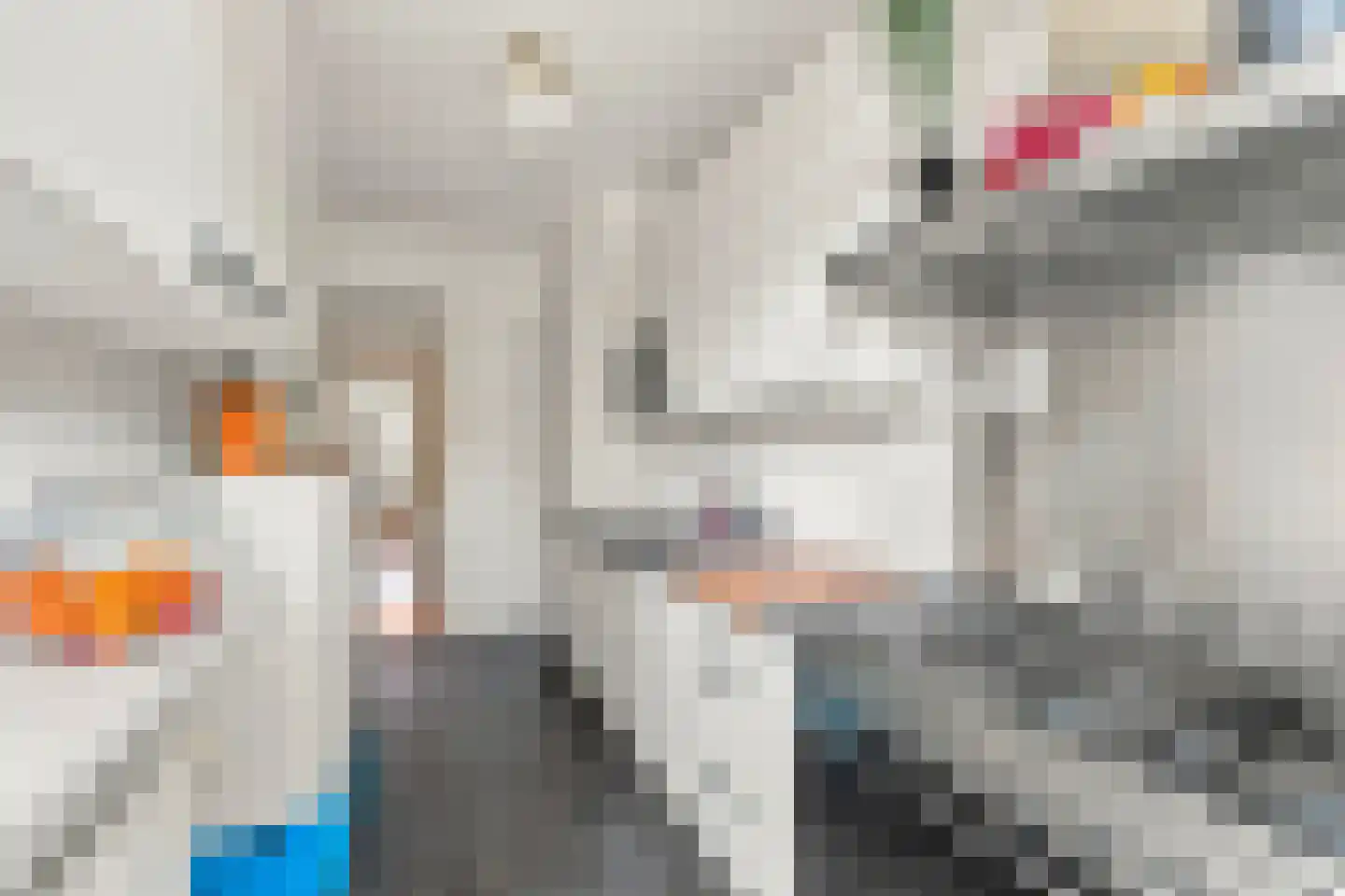 Jacob Catsstraat 28 Voorburg thumbnail 25