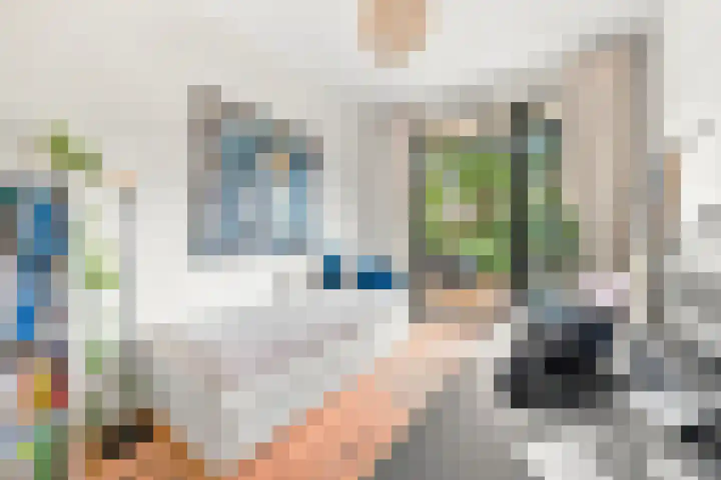 Jacob Catsstraat 28 Voorburg thumbnail 28