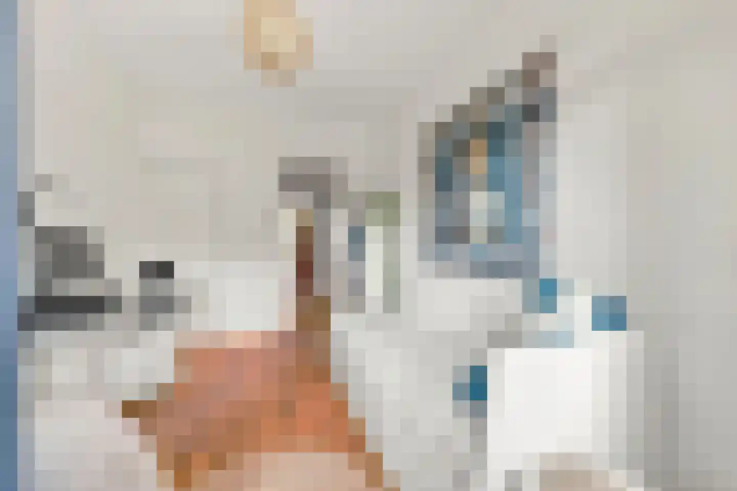 Jacob Catsstraat 28 Voorburg thumbnail 29