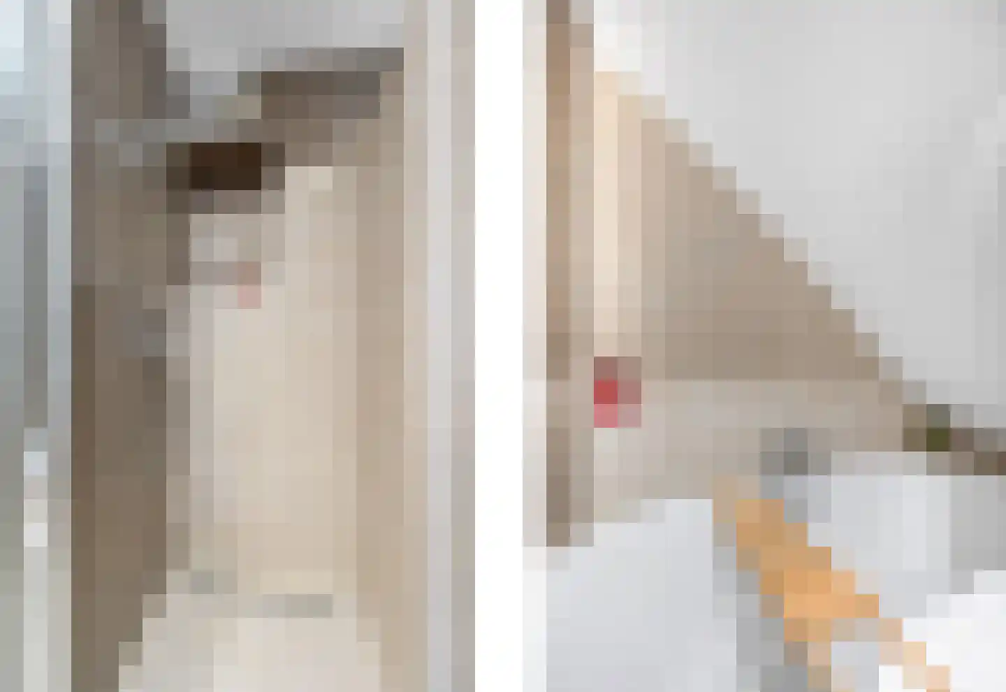 Jacob Catsstraat 28 Voorburg thumbnail 31