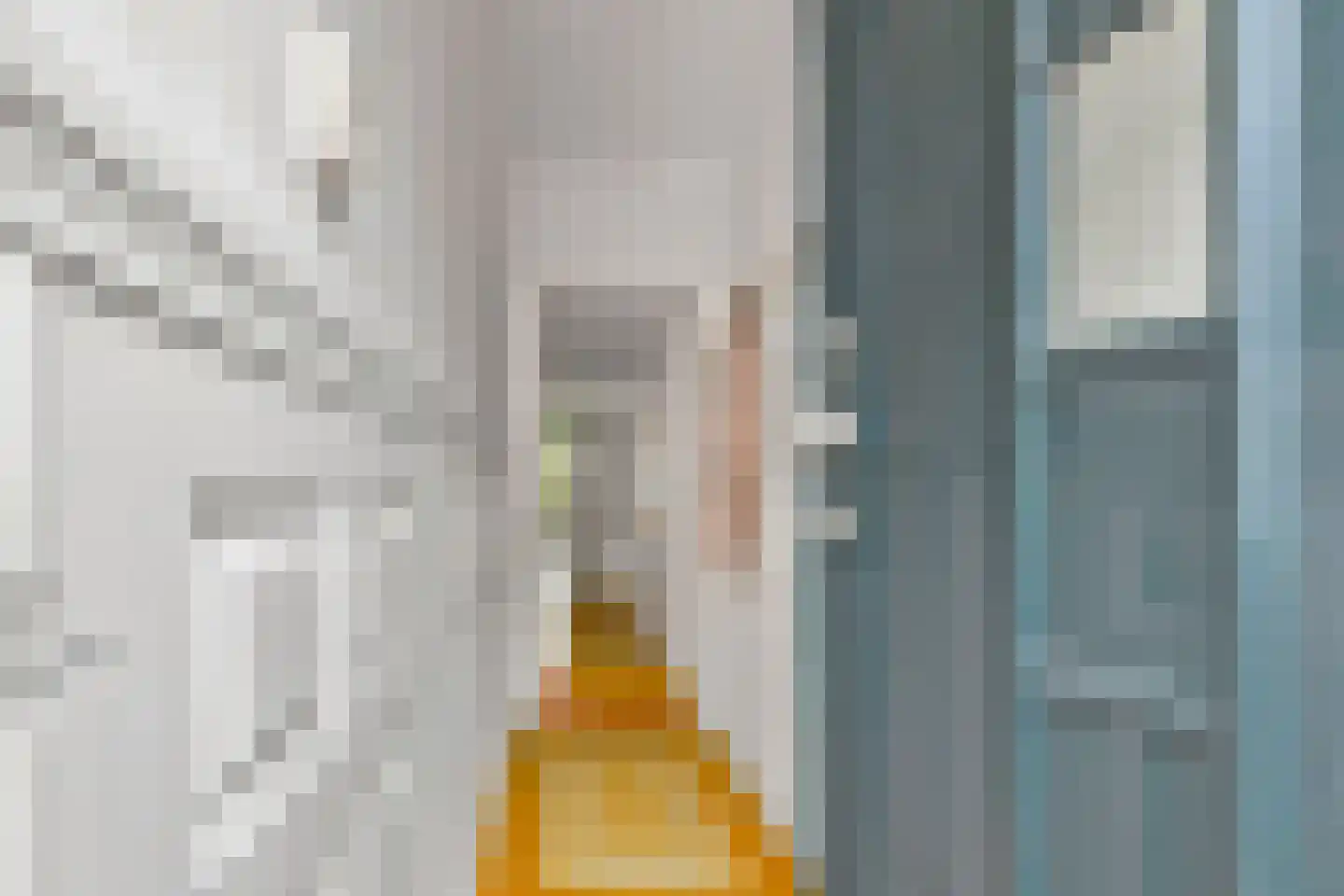 Jacob Catsstraat 28 Voorburg thumbnail 9