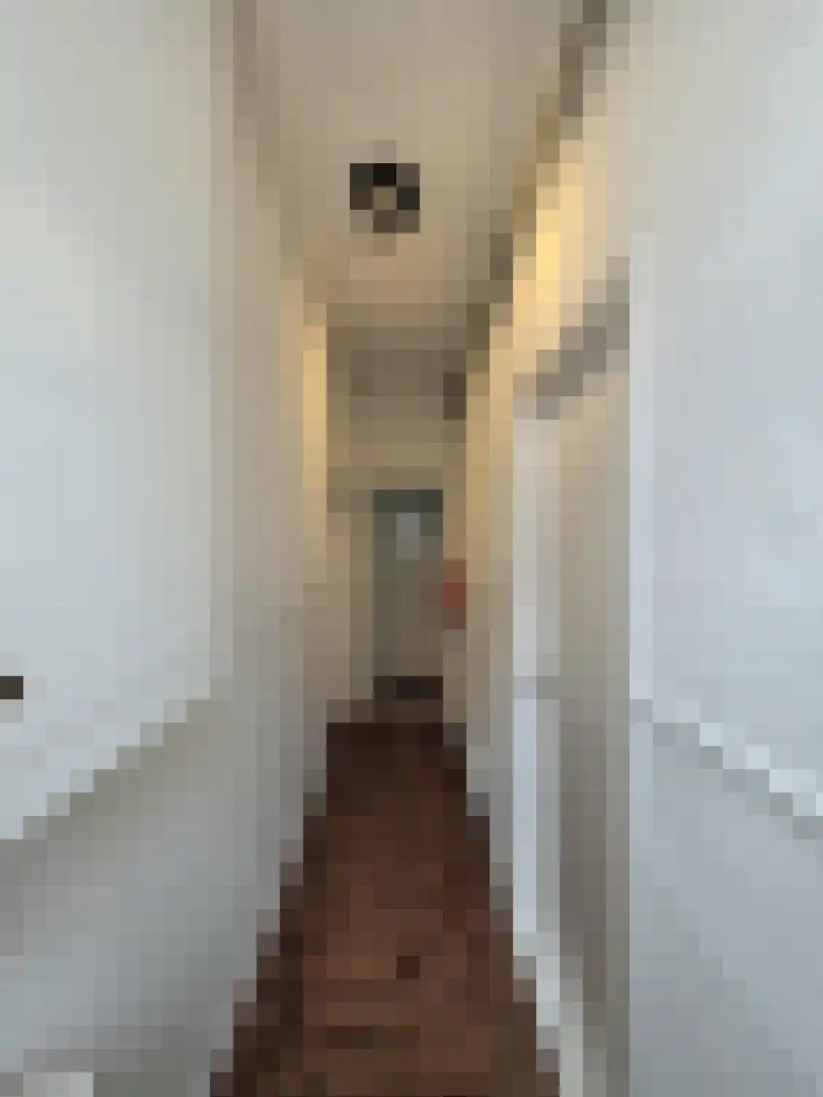 Jacob Catsstraat 3 Utrecht thumbnail 4