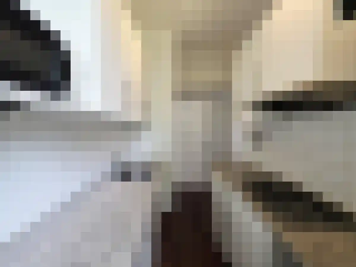 Jacob Catsstraat 3 Utrecht thumbnail 6