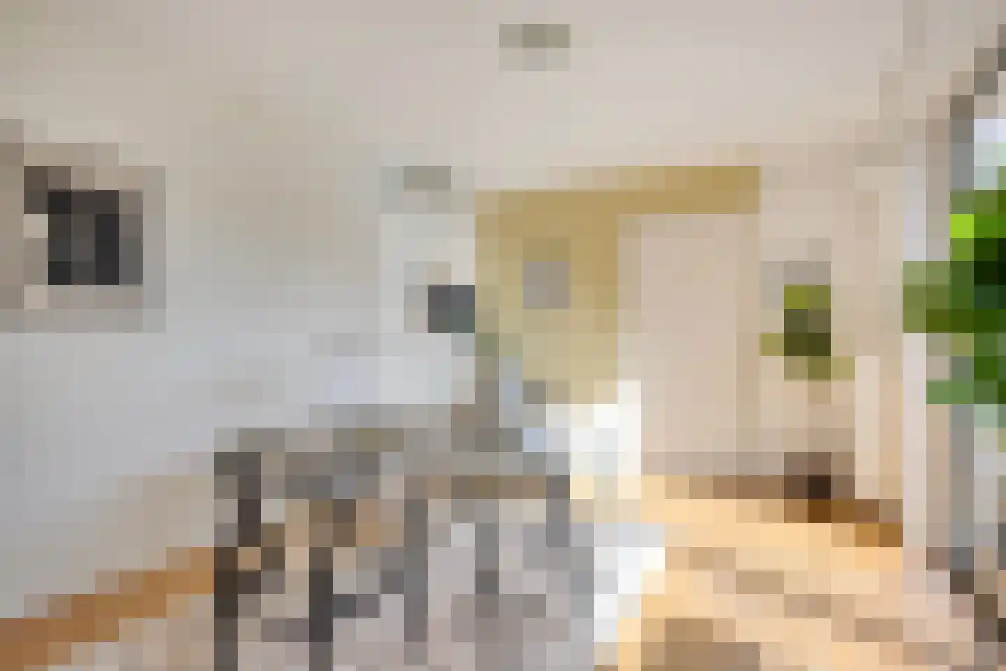 Jacob Catsstraat 30 Castricum thumbnail 21
