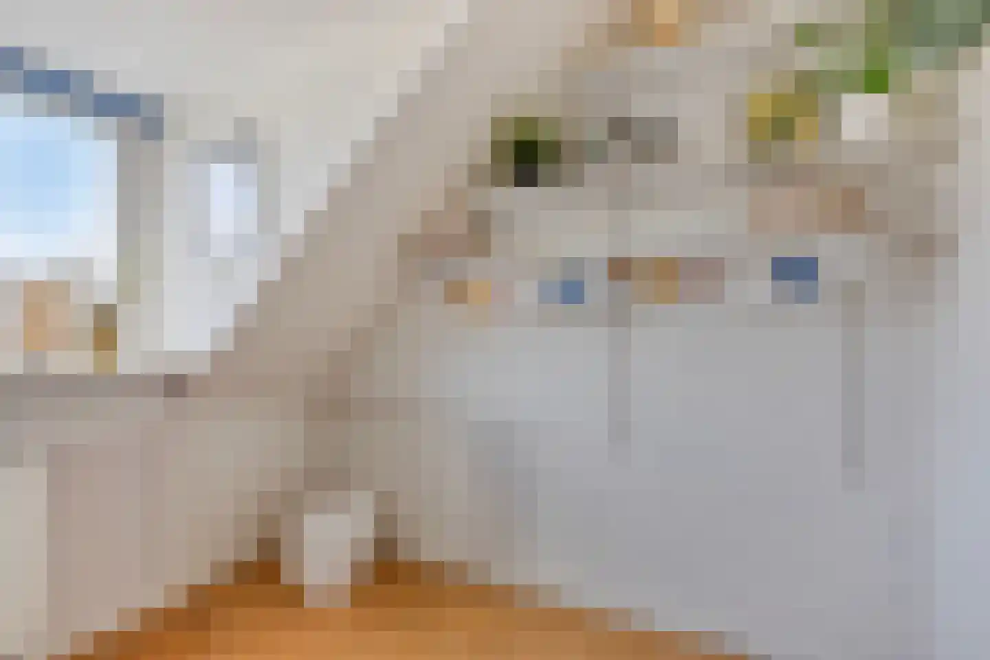Jacob Catsstraat 30 Castricum thumbnail 42