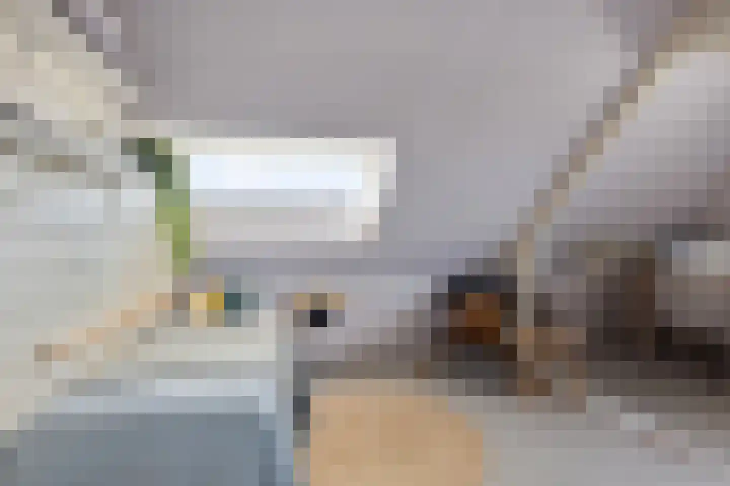 Jacob Catsstraat 30 Castricum thumbnail 43