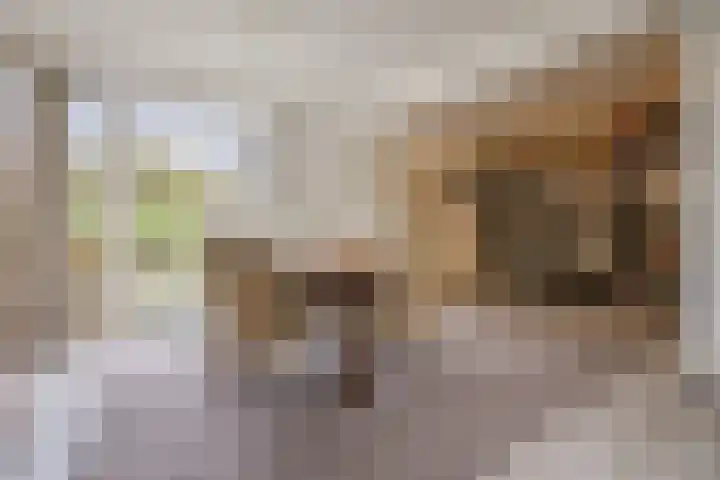 Jacob Catsstraat 30 Nuenen thumbnail 12