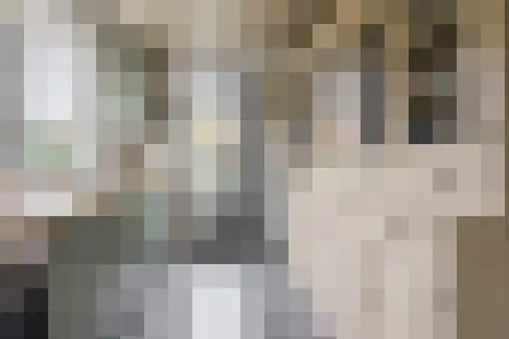 Jacob Catsstraat 30 Nuenen thumbnail 13