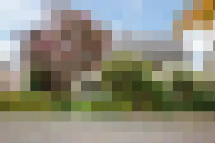 Jacob Catsstraat 30 Nuenen thumbnail 6