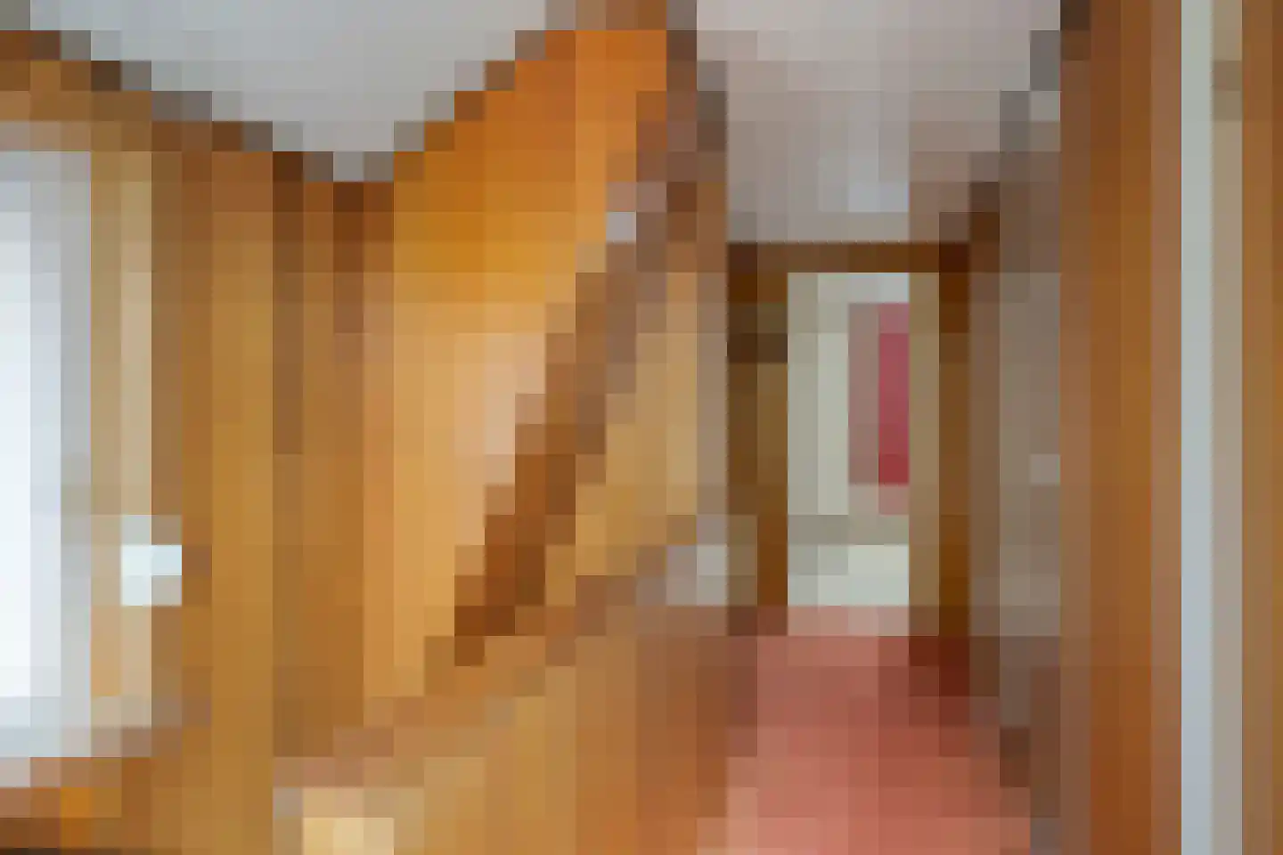 Jacob Catsstraat 31 Hengelo thumbnail 22