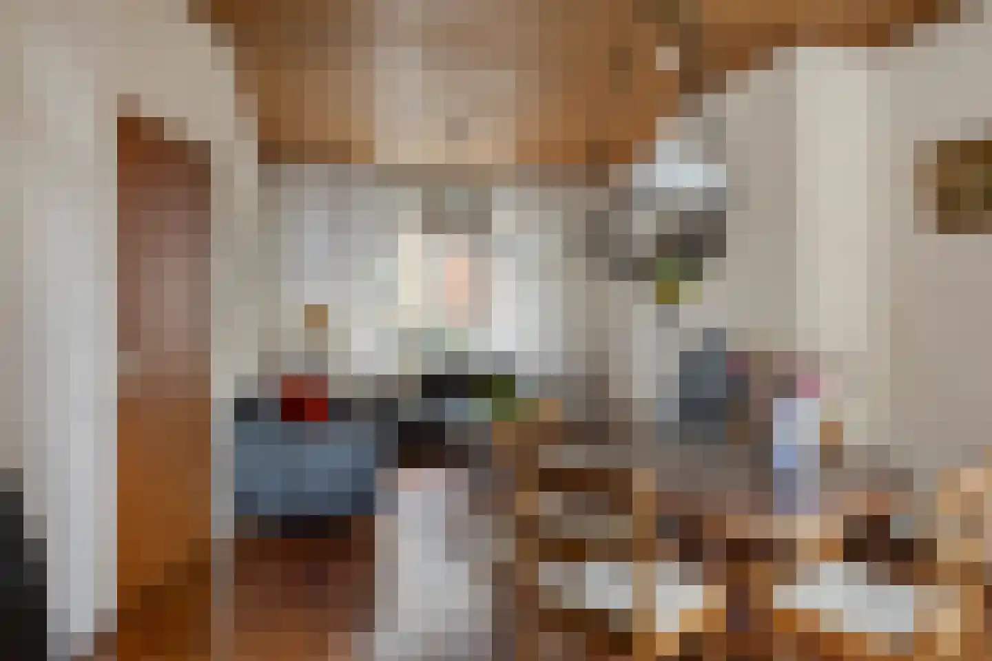 Jacob Catsstraat 31 Hengelo thumbnail 4