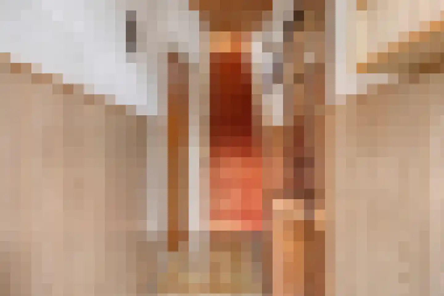 Jacob Catsstraat 31 Hengelo thumbnail 9