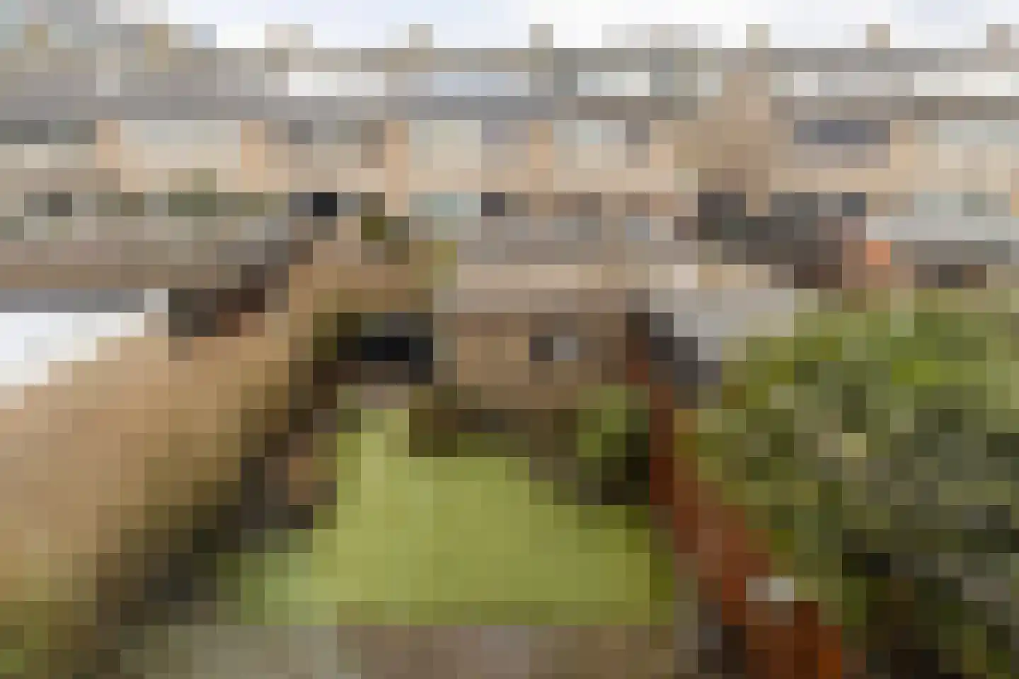 Jacob Catsstraat 32 Hellevoetsluis thumbnail 28
