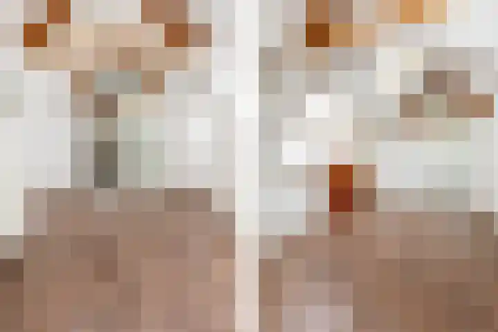 Jacob Catsstraat 342 Rotterdam thumbnail 16