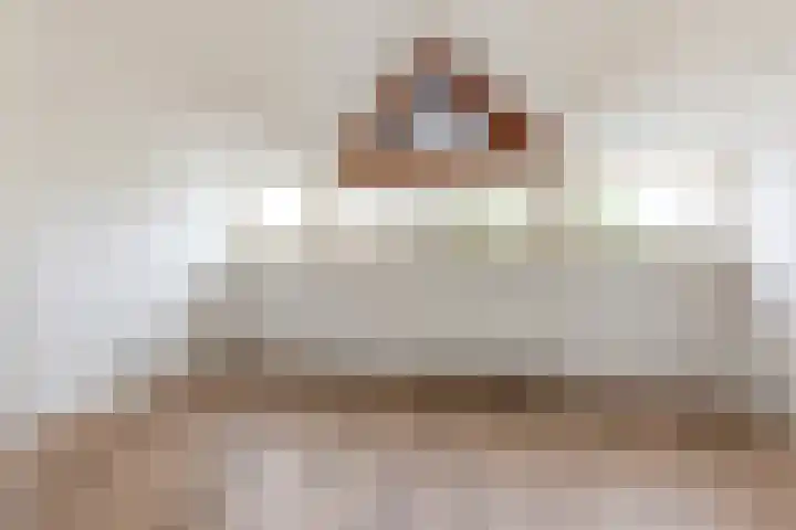 Jacob Catsstraat 342 Rotterdam thumbnail 19