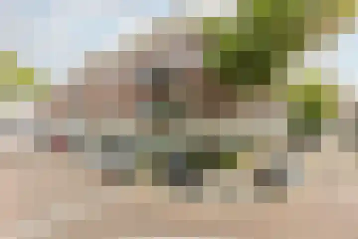 Jacob Catsstraat 342 Rotterdam thumbnail 37