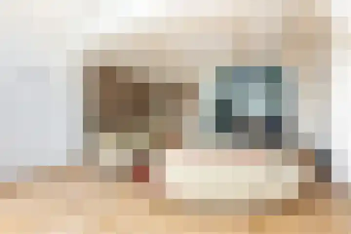 Jacob Catsstraat 342 Rotterdam thumbnail 6