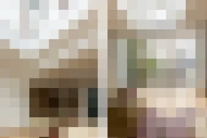 Jacob Catsstraat 342 Rotterdam thumbnail 7